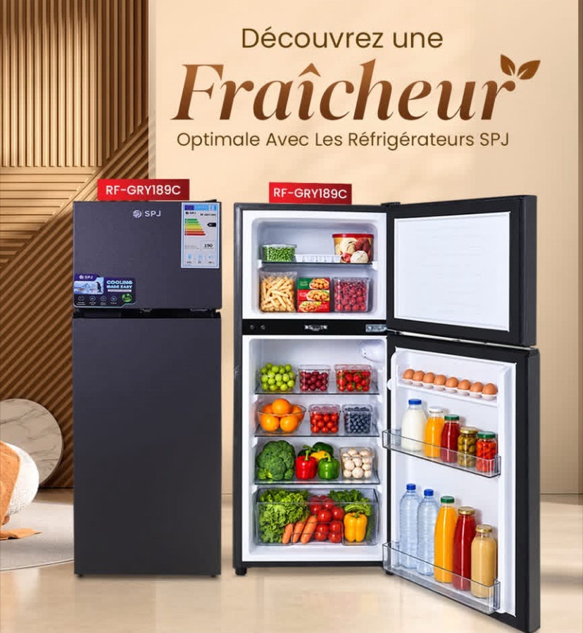 Congélateur Frigo