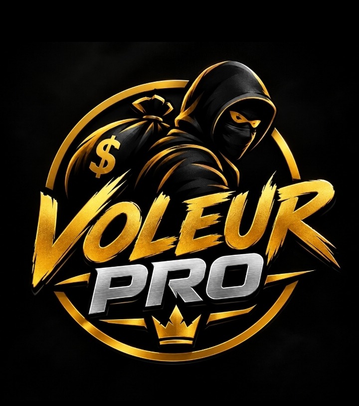 Logo VOLEUR PRO — Design original & provocateur