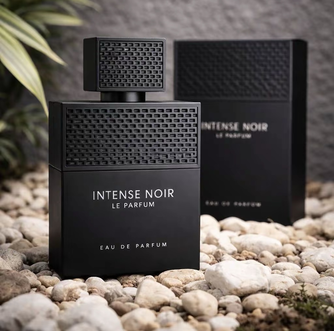 Parfum intense noir