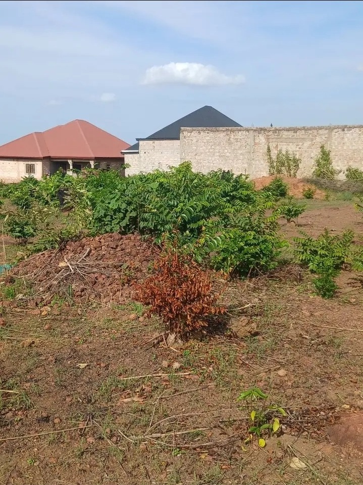 Terrain a vendre a kindia