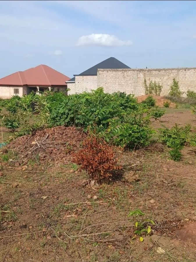 Terrain a vendre a kindia