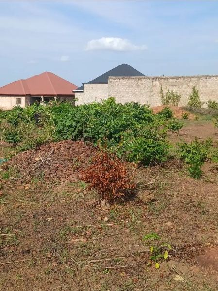 Terrain a vendre a kindia