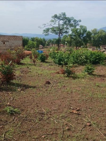 Terrain a vendre a kindia