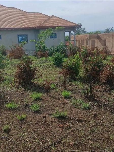 Terrain a vendre a kindia
