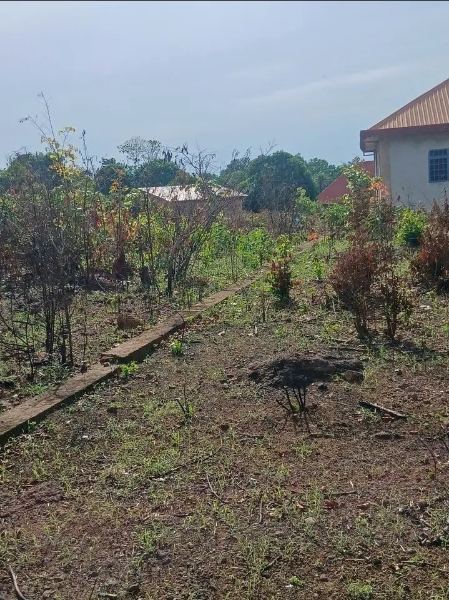 Terrain a vendre a kindia