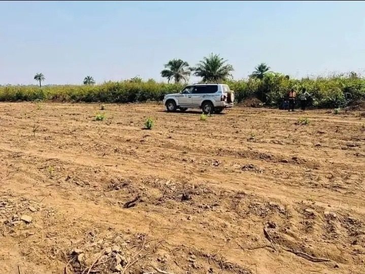 Terrain a vendre a forecarya