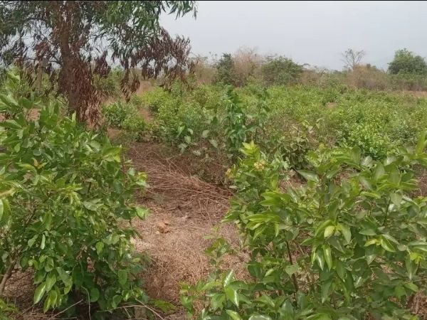 Parcelle de terrain a vendre