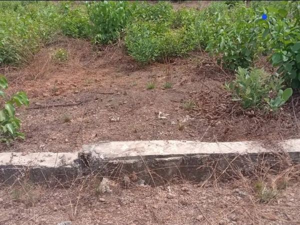 Parcelle de terrain a vendre